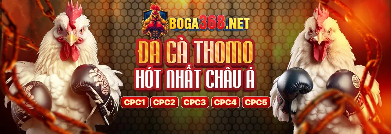Đá gà trực tuyến kịch tính tại R98 Nhà Cái